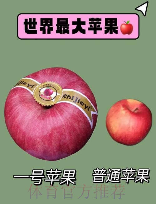 世界杯滚球苹果